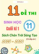 Tuyển tập 11 Đề thi cuối kì 1 năm học 2025-2026 môn Sinh học 11 CTST (Kèm đáp án)
